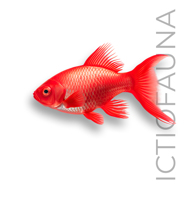 peixe-ictiofauna-ictiologica